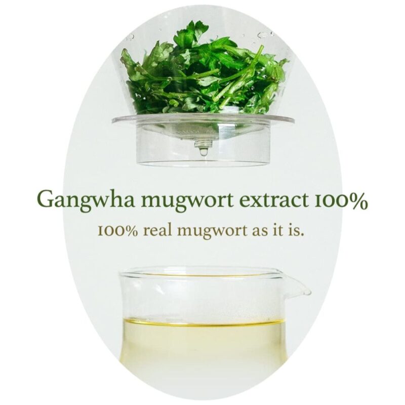 I'm from Mugwort Mask VARIANTA MINI (1)