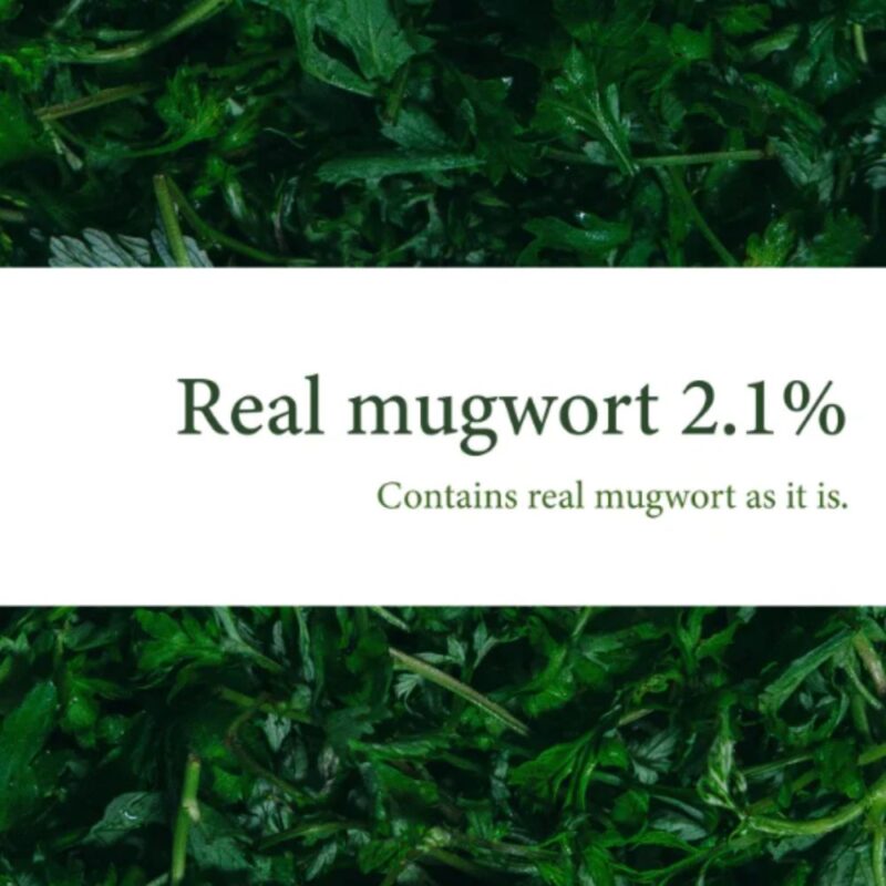 I'm from Mugwort Mask VARIANTA MINI (2)