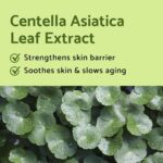 Iunik Centella Mini Set VARIANTA MINI (3)