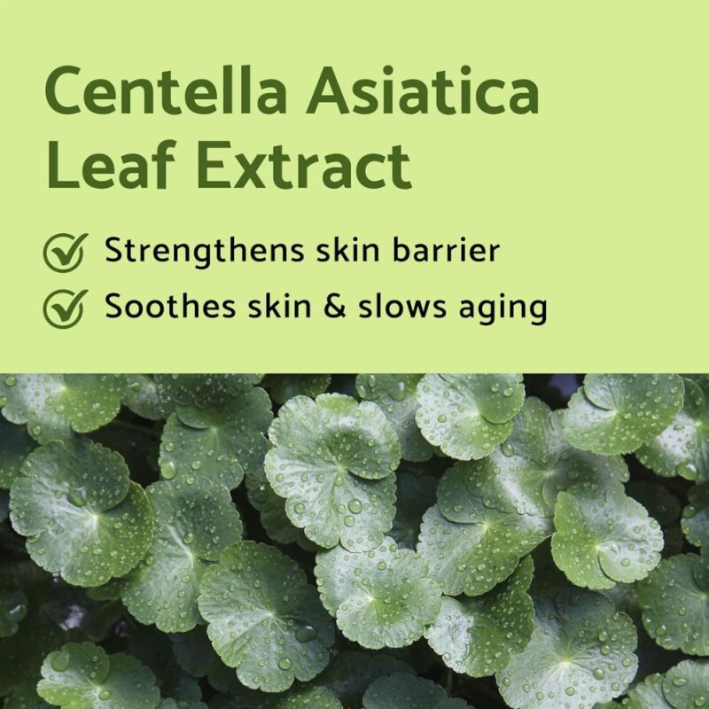 Iunik Centella Mini Set VARIANTA MINI (3)