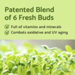 Iunik Centella Mini Set VARIANTA MINI (4)