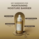 Skin1004 Madagascar Centella Teca Ampoule (6)