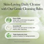 Arencia Pore Melt Phyto PDRN Cleansing Balm