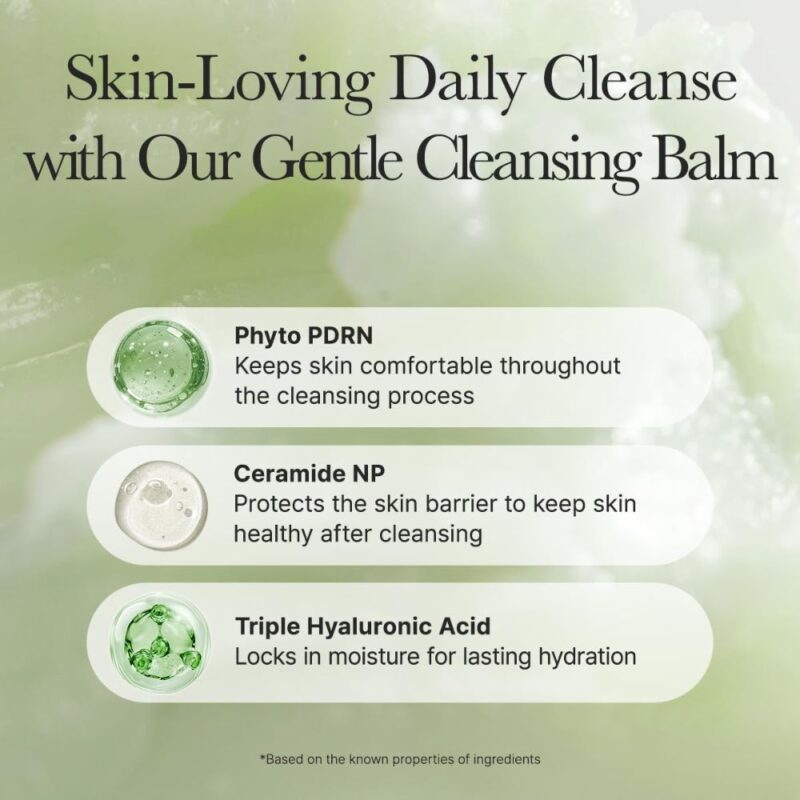 Arencia Pore Melt Phyto PDRN Cleansing Balm