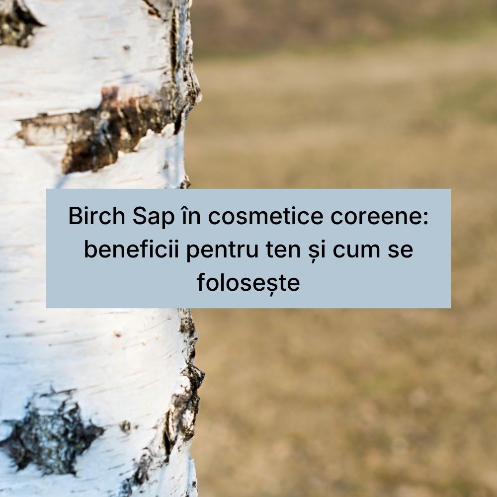 Birch Sap în cosmetice coreene beneficii pentru ten și cum se folosește