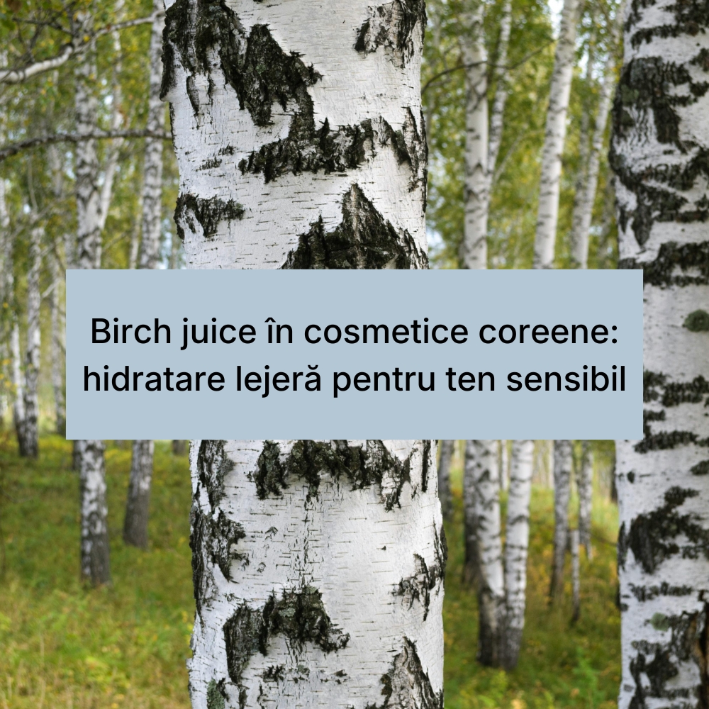 Birch juice în cosmetice coreene hidratare lejeră pentru ten sensibil