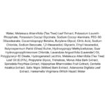 Dr. Ceuracle Tea Tree Purifine Cleansing Foam lista ingrediente