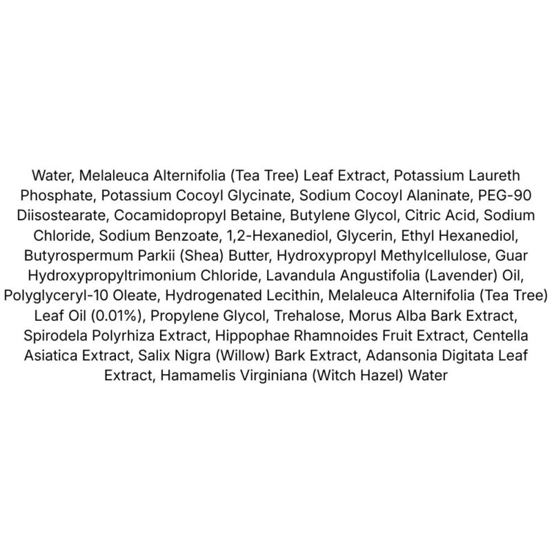 Dr. Ceuracle Tea Tree Purifine Cleansing Foam lista ingrediente