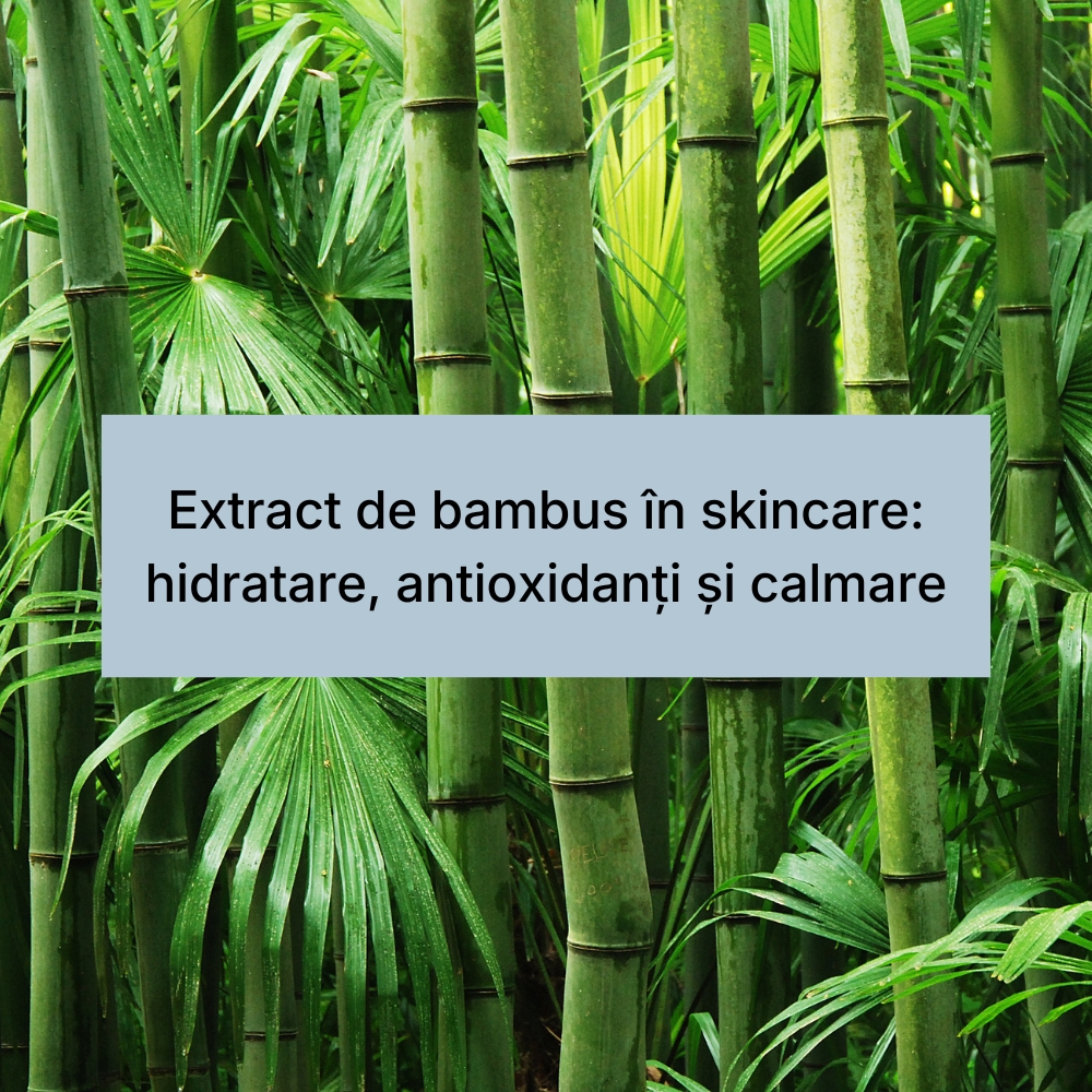 Extract de bambus în skincare hidratare, antioxidanți și calmare