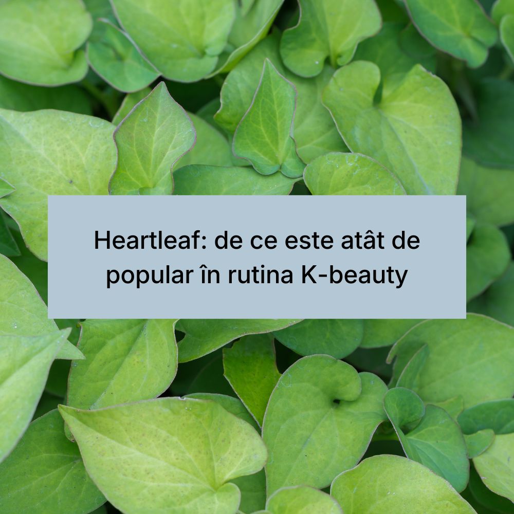 Heartleaf de ce este atât de popular în rutina K-beauty