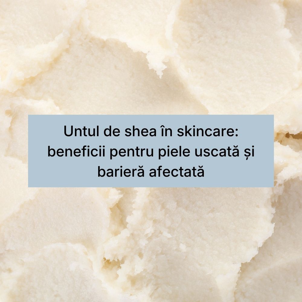 Untul de shea în skincare beneficii pentru piele uscată și barieră afectată