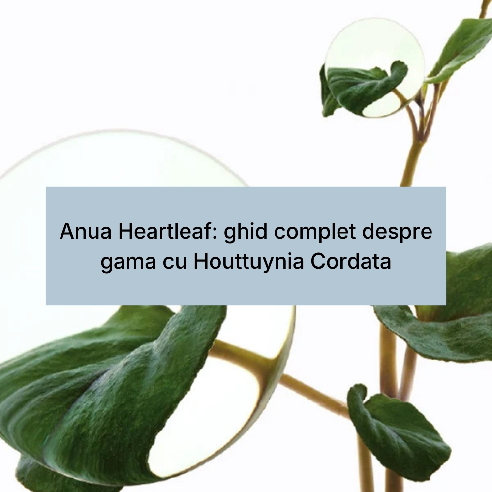 Anua Heartleaf ghid complet despre gama cu Houttuynia Cordata