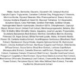 Aperire Spa Relief Be Frozen Pore Mask lista ingrediente