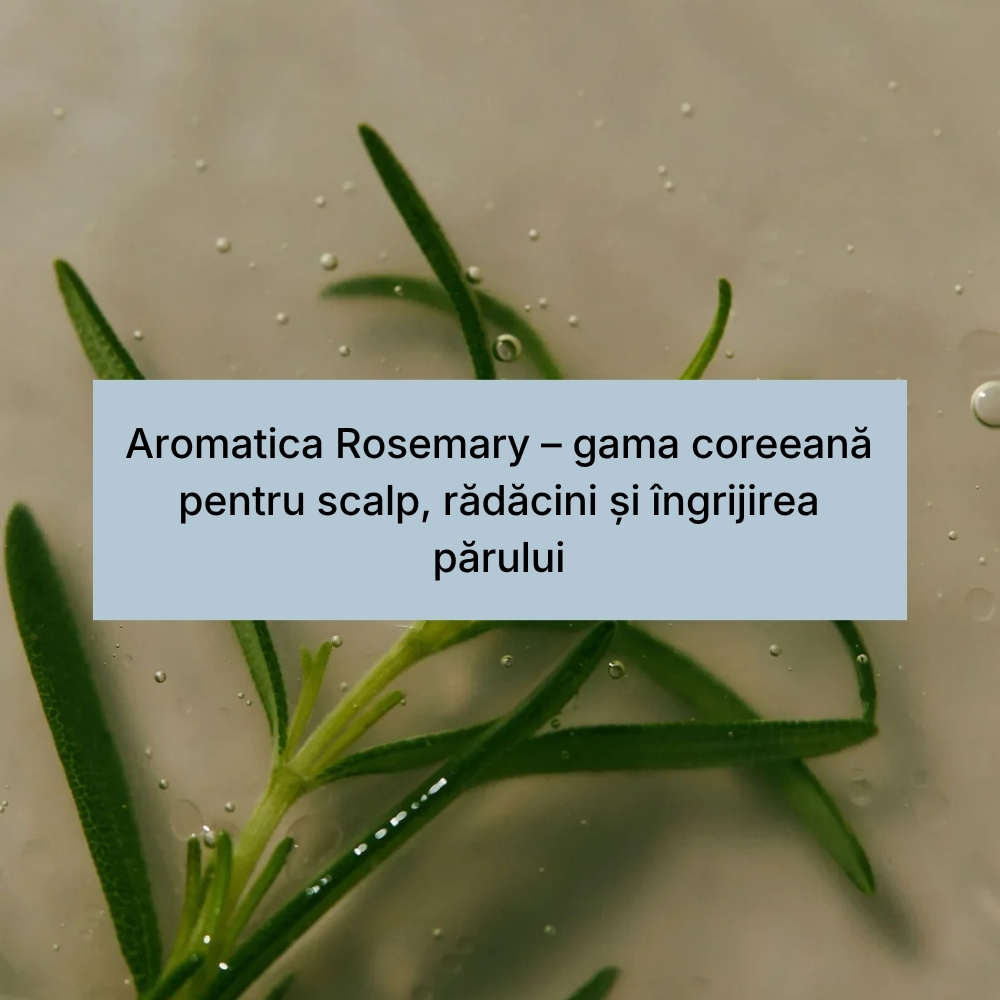 Aromatica Rosemary – gama coreeană pentru scalp, rădăcini și îngrijirea părului (1)