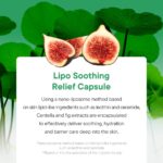 Iunik Centella Relief Sorbet Cream VARIANTA MINI (3)
