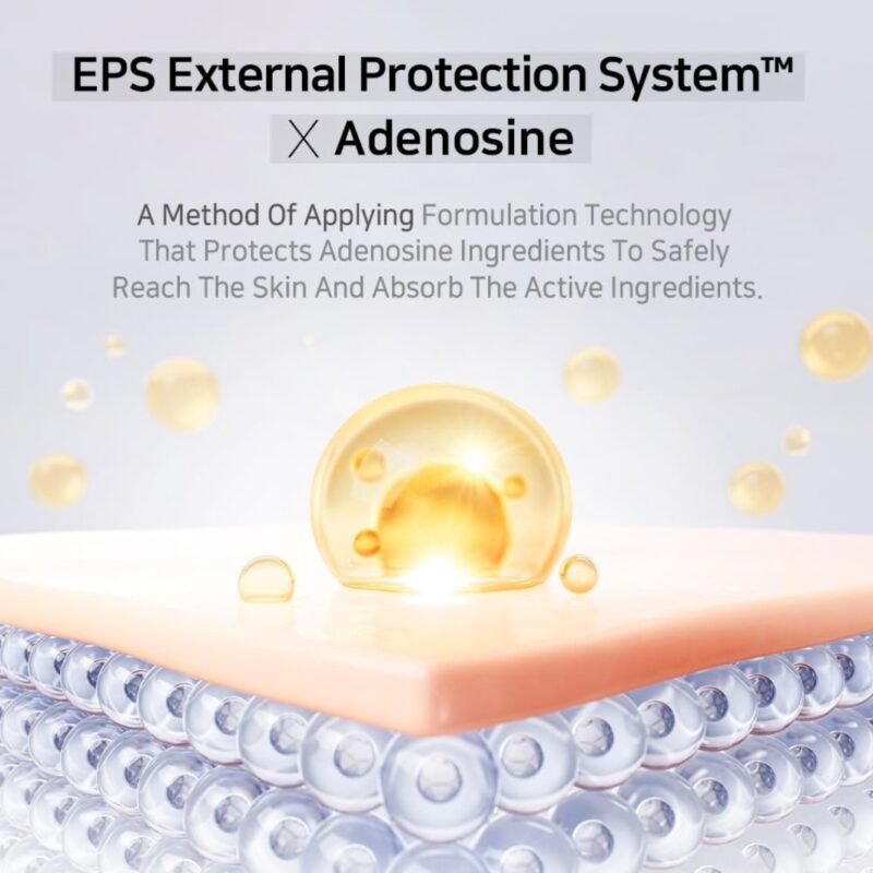 APLB Adenosine Vitamin C Ampoule Serum (4)