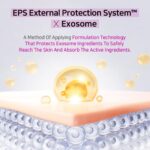 APLB Exosome Vitamin C EX Serum (4)