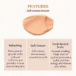 Skinfood Apricot Food Mask (3)