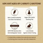 Skinfood Carrot Carotene Mask (3)