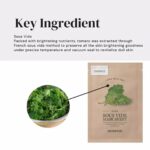 Skinfood Sous Vide Mask Sheet (Kale) (2)