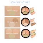 The Saem Cover Perfection Triple Pot Concealer (7)