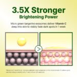 Goodal Green Tangerine Vita C Dark Spot Care Cream Alpha (2)