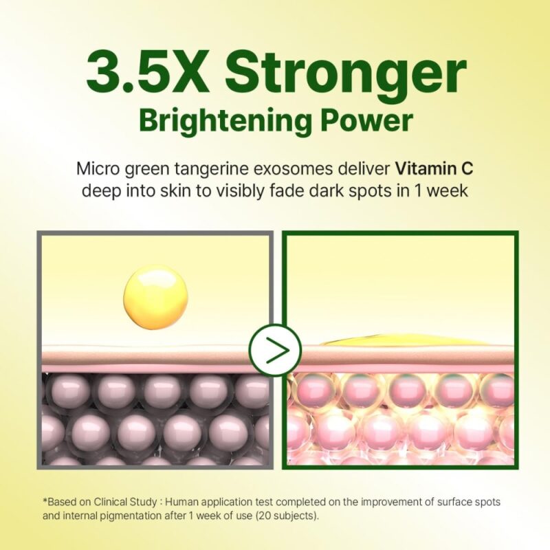 Goodal Green Tangerine Vita C Dark Spot Care Cream Alpha (2)