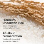 Skinfood Rice Mask Wash Off (2)