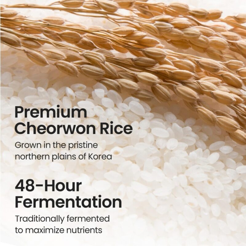 Skinfood Rice Mask Wash Off (2)